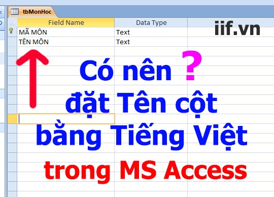 Có nên đặt tên cột bằng tiếng việt của table MS Access