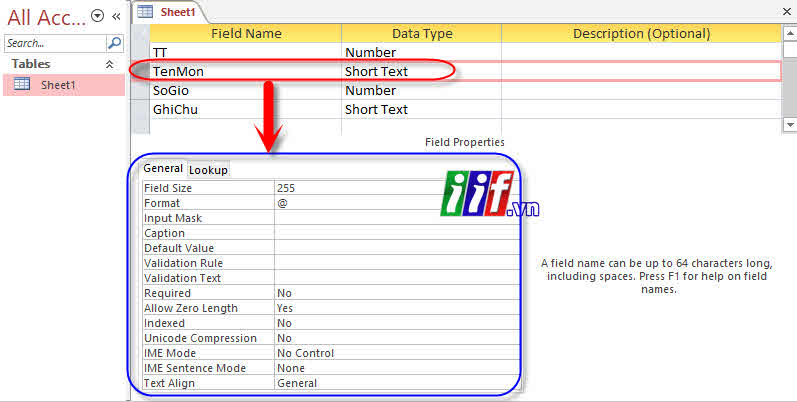 Fields Properties Table MS Access