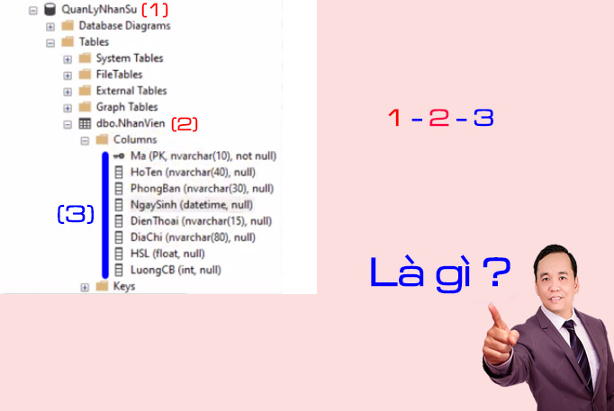 Table trong sql server manager