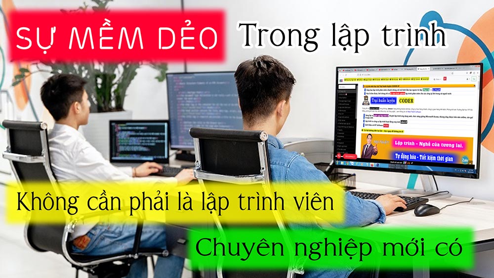 Sự mềm dẻo trong lập trình