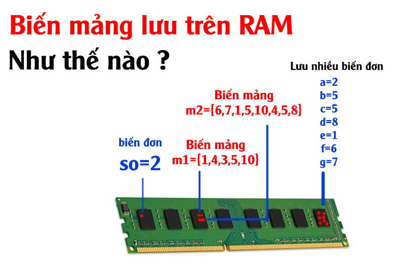 Nguyên lý lưu biến mảng