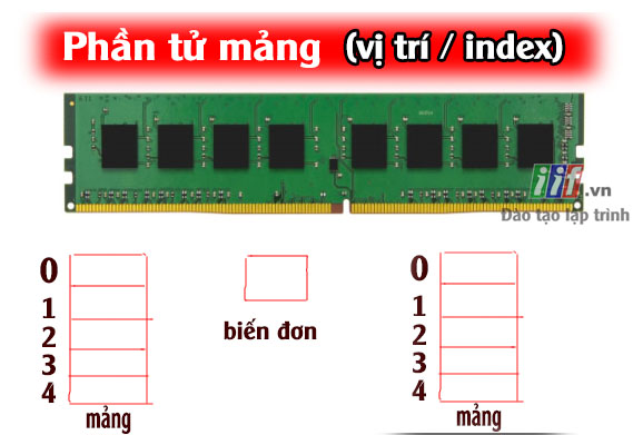 Phần từ mảng